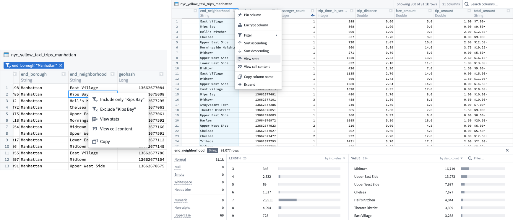 An example of available filters to use with the dataset preview table.