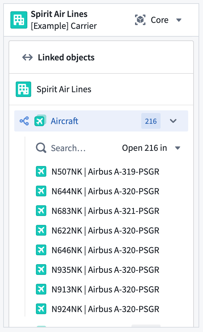 The standard Object View panel.