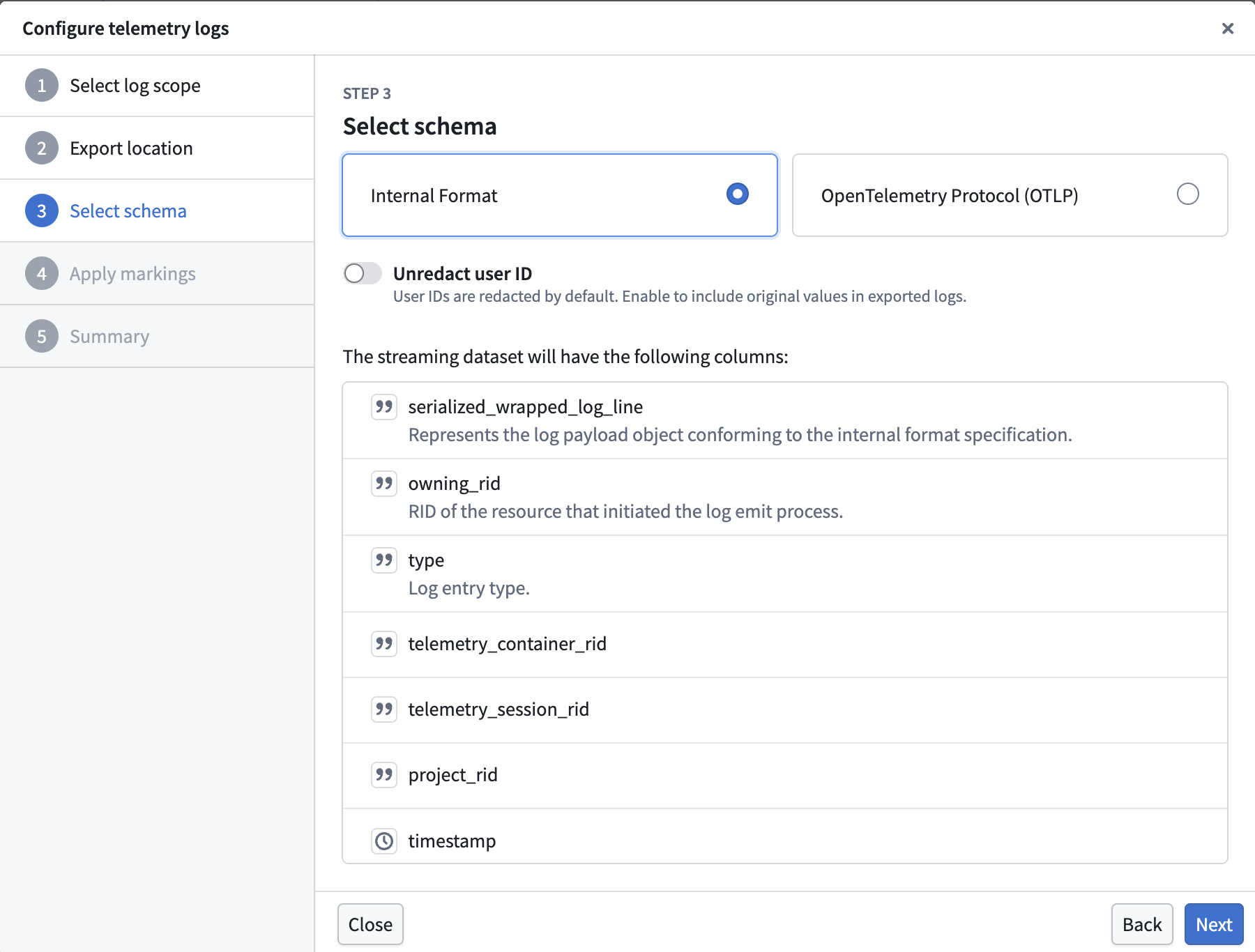 The schema selection interface showing available log format options.