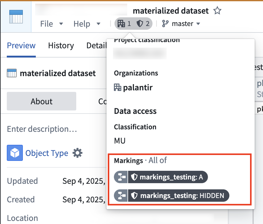 An example of a materialized dataset carrying provenance from the backing dataset.