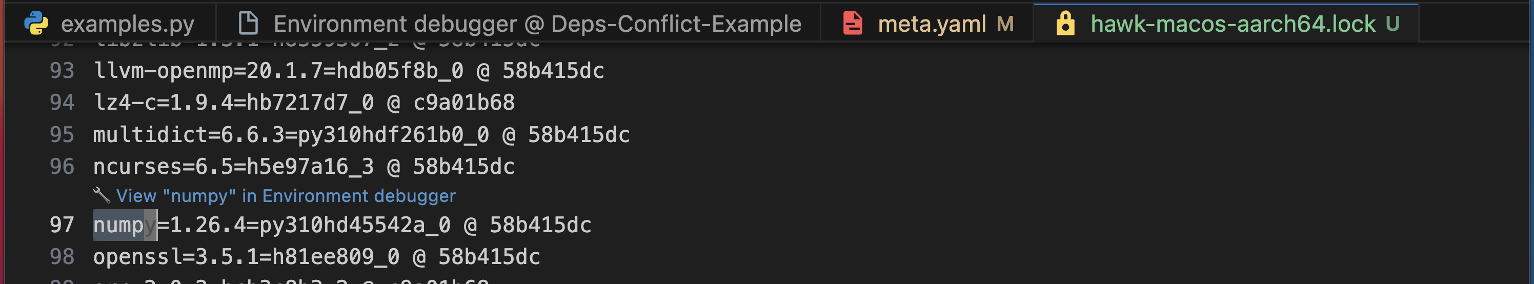 The "View in environment debugger" CodeLens hint above a package in the hawk lockfile.