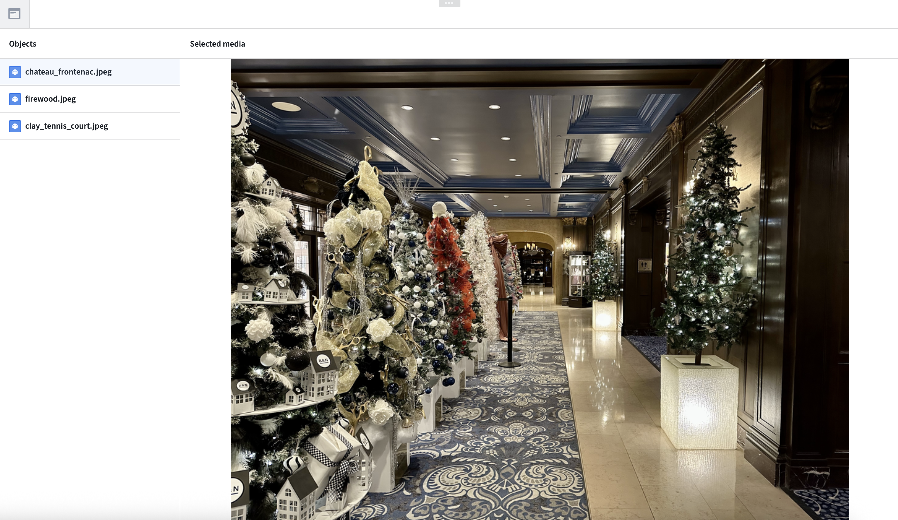 Workshop application displaying media items with granular access controls applied.