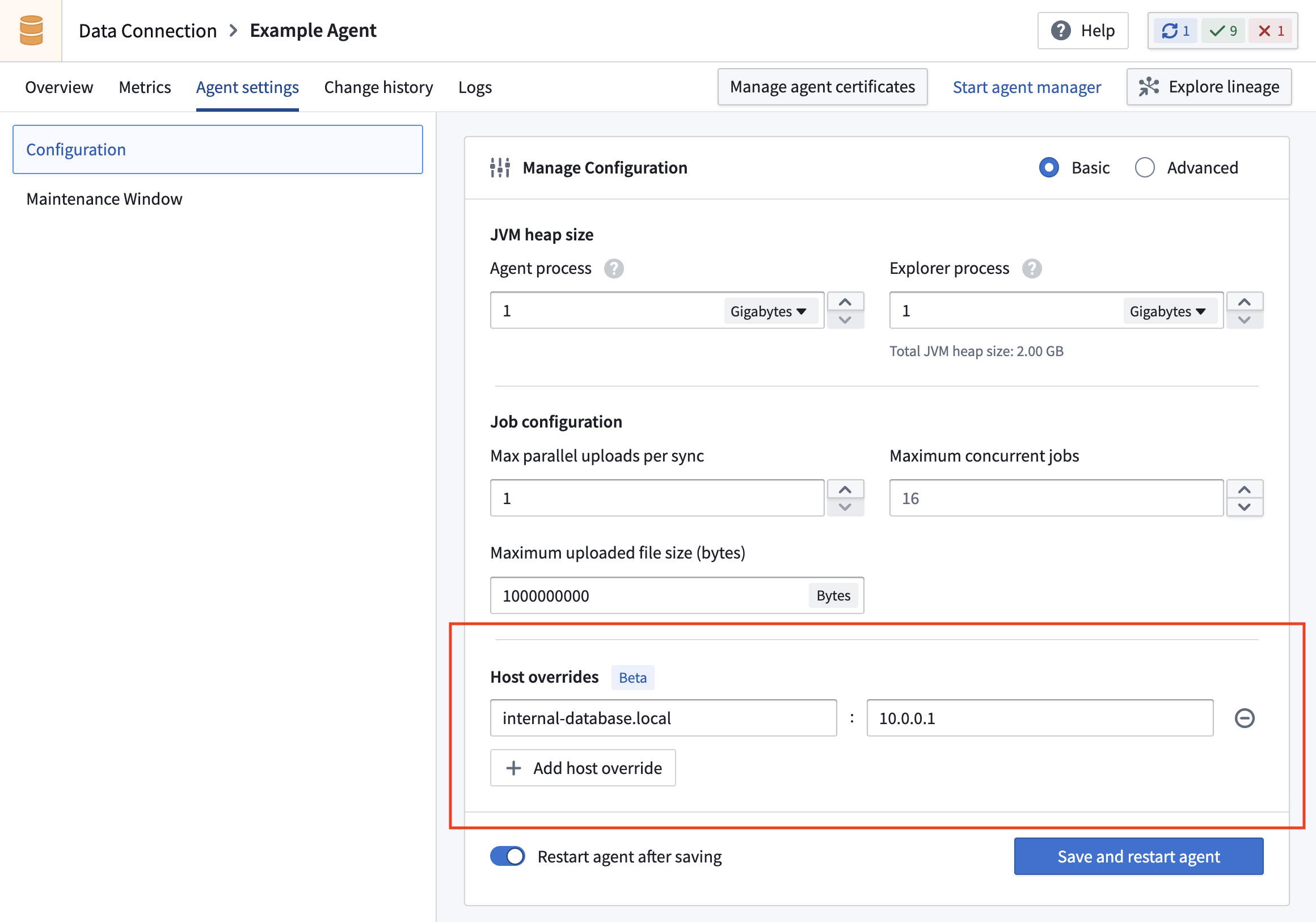 Add a host override from the Agent settings page in Data Connection.