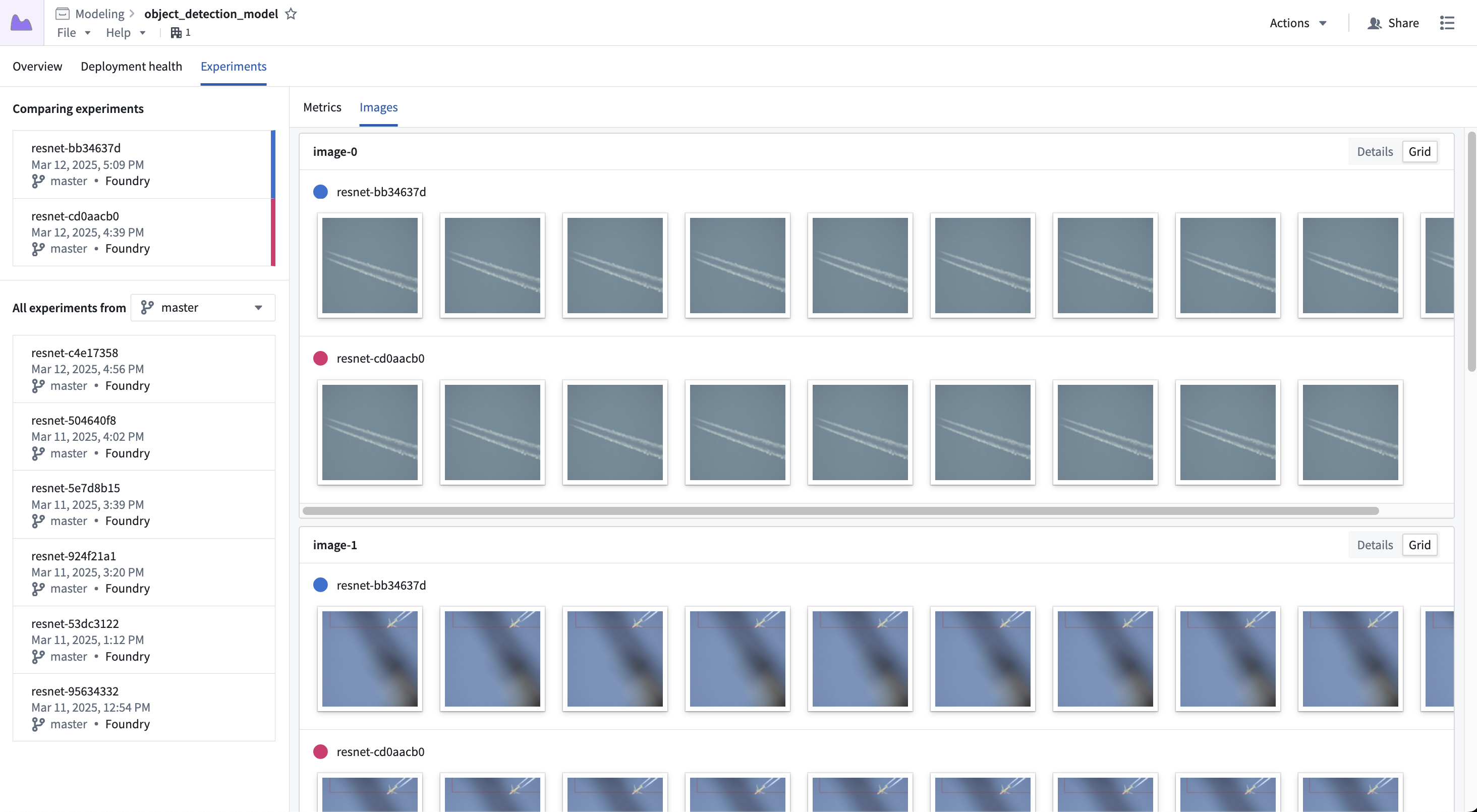 Experiment images grid view.
