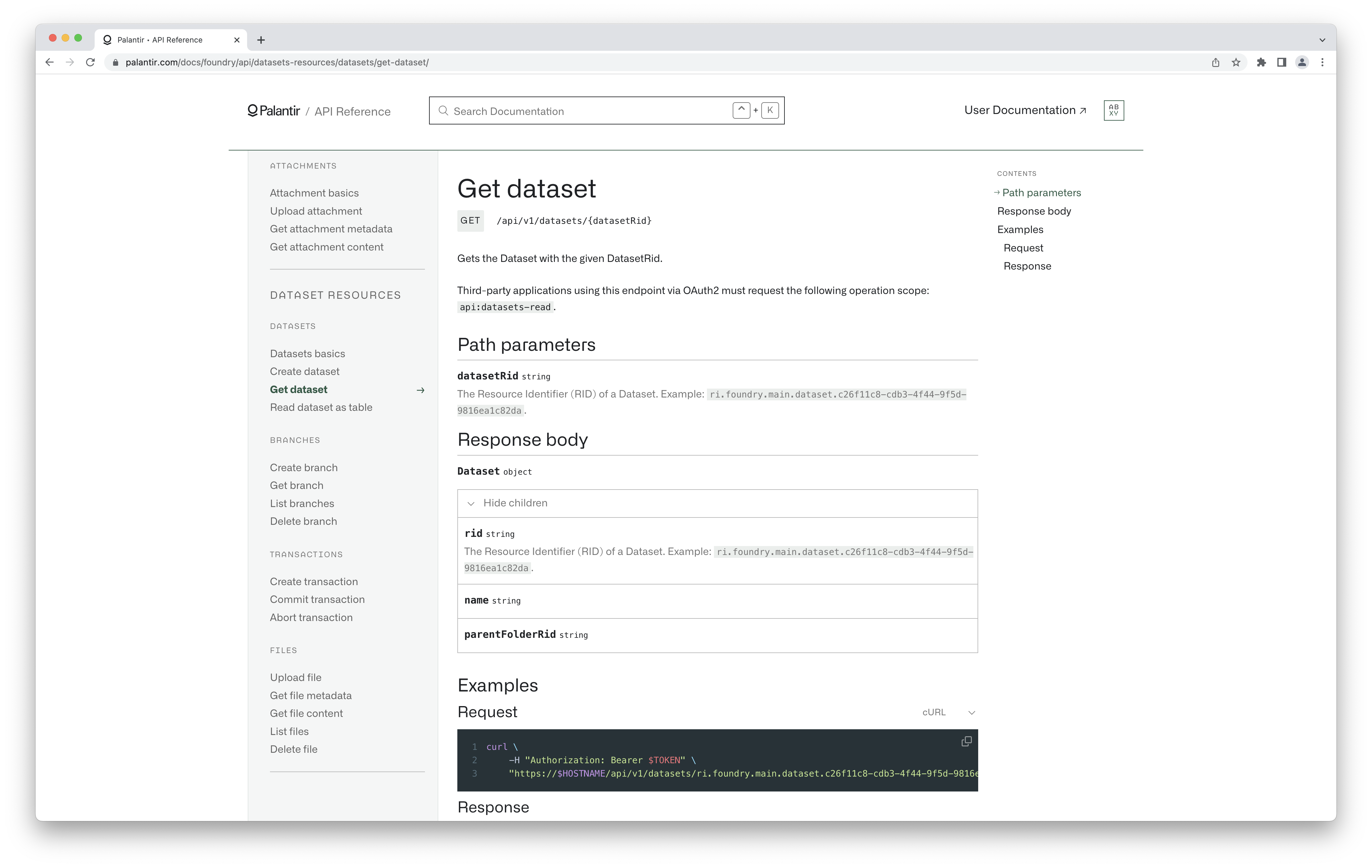 The public documentation for the get dataset endpoint.