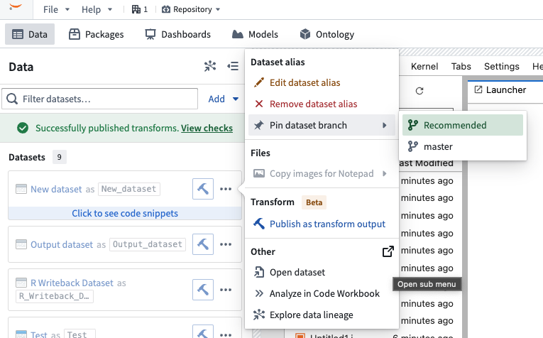 The Pin dataset branch setting within the imported dataset context menu.
