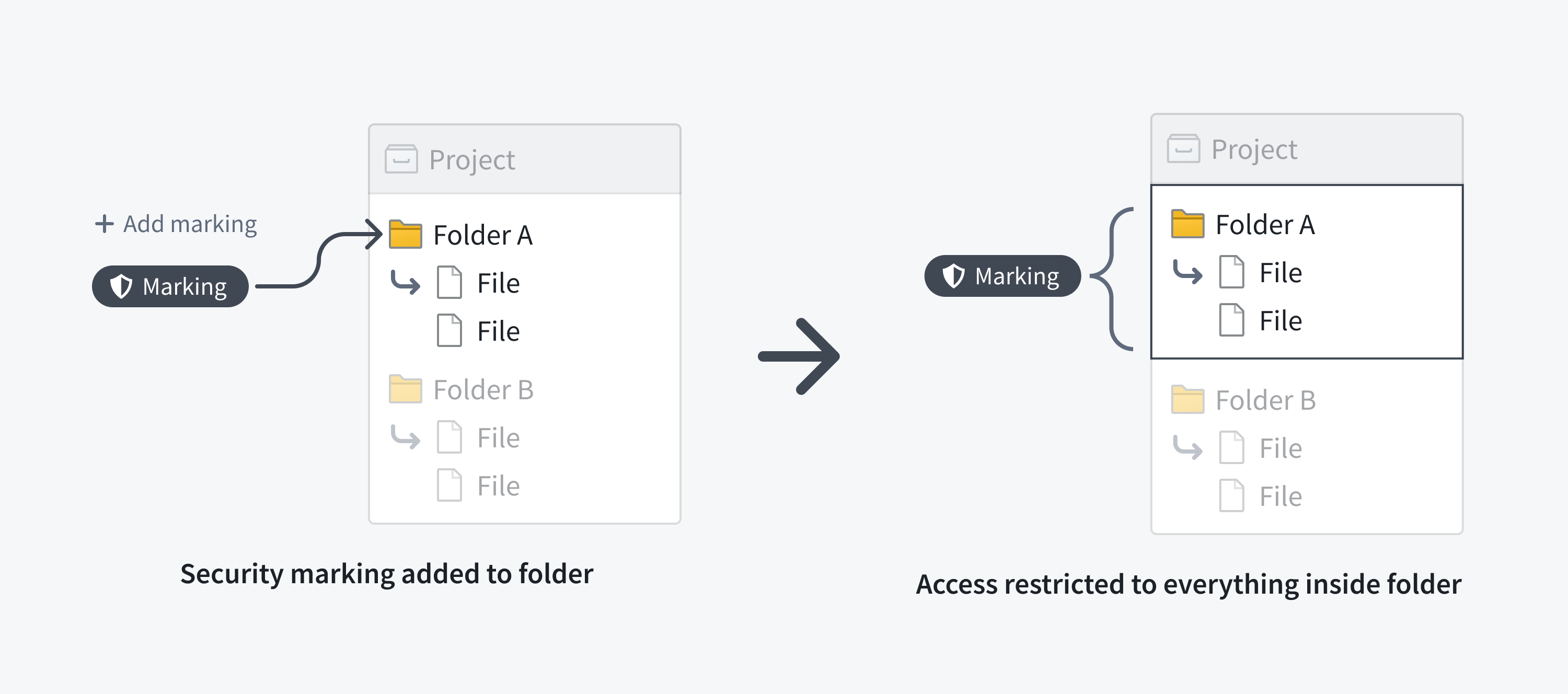 markings-folder