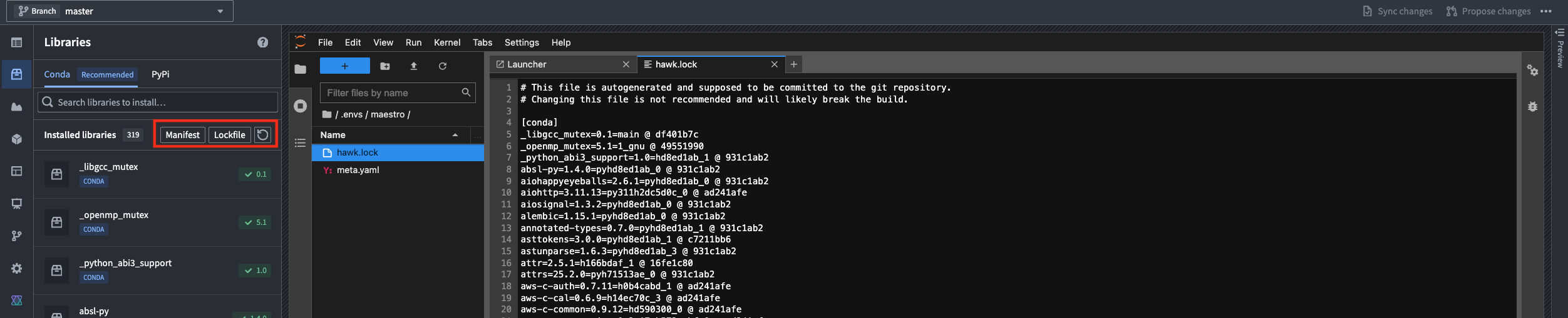 How to open the Jupyter lockfile.