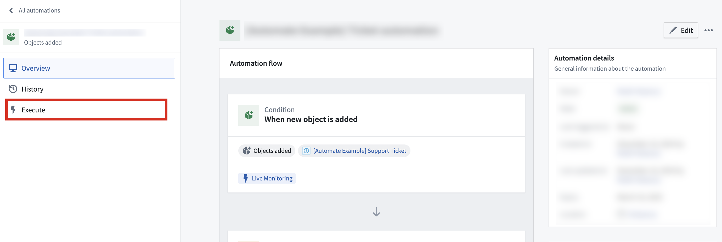 The Execute page in Automation where you can configure and run a manual execution.