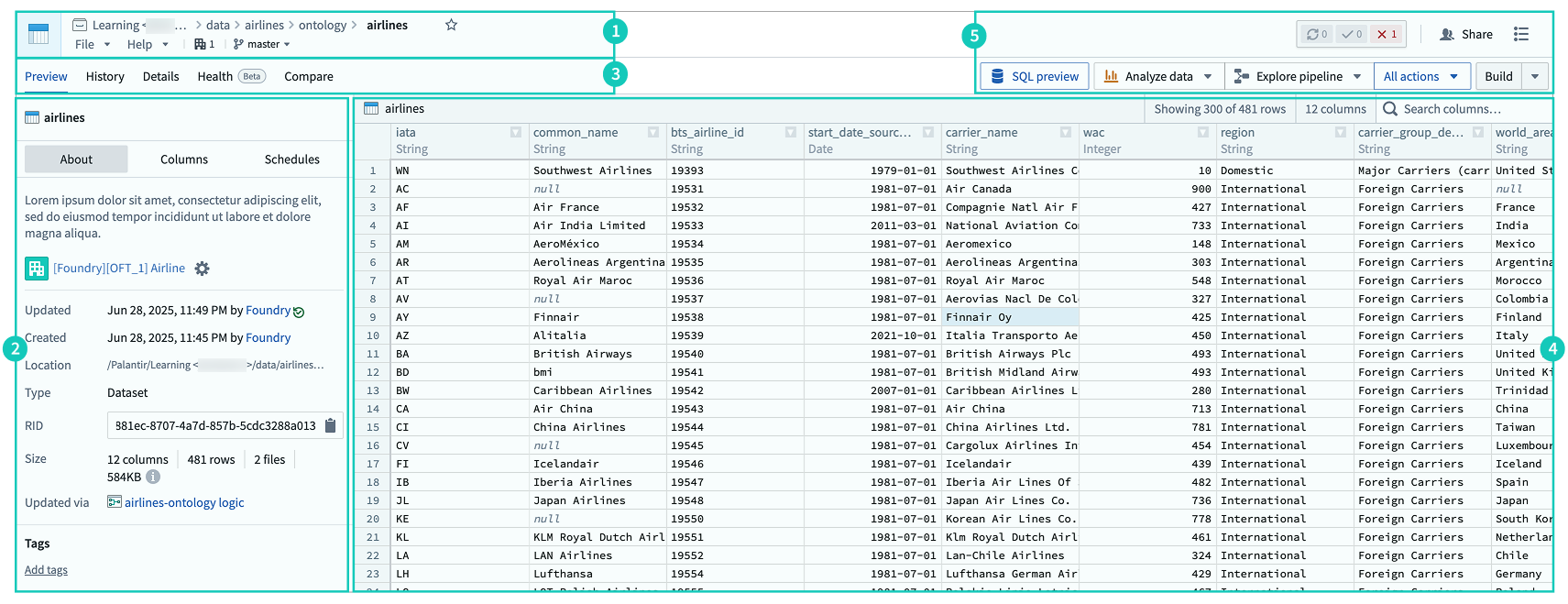 The interface of the Dataset application.