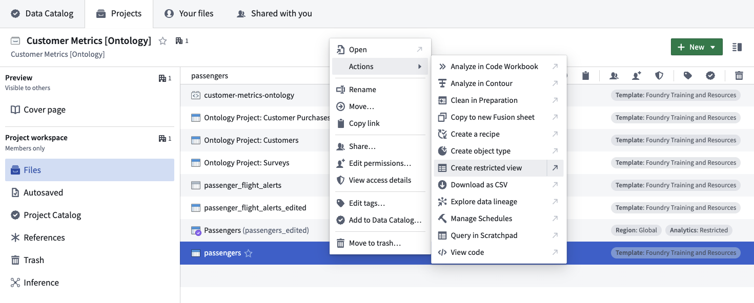 Users can create a restricted view by right-clicking a dataset resource.