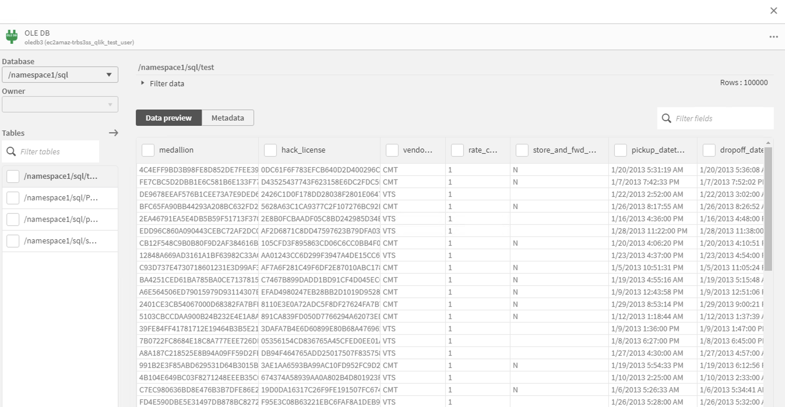 Qlik Foundry dataset preview